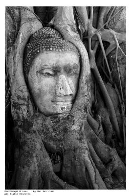 Remaining of Buddha Sculpture : Wat Mahataht