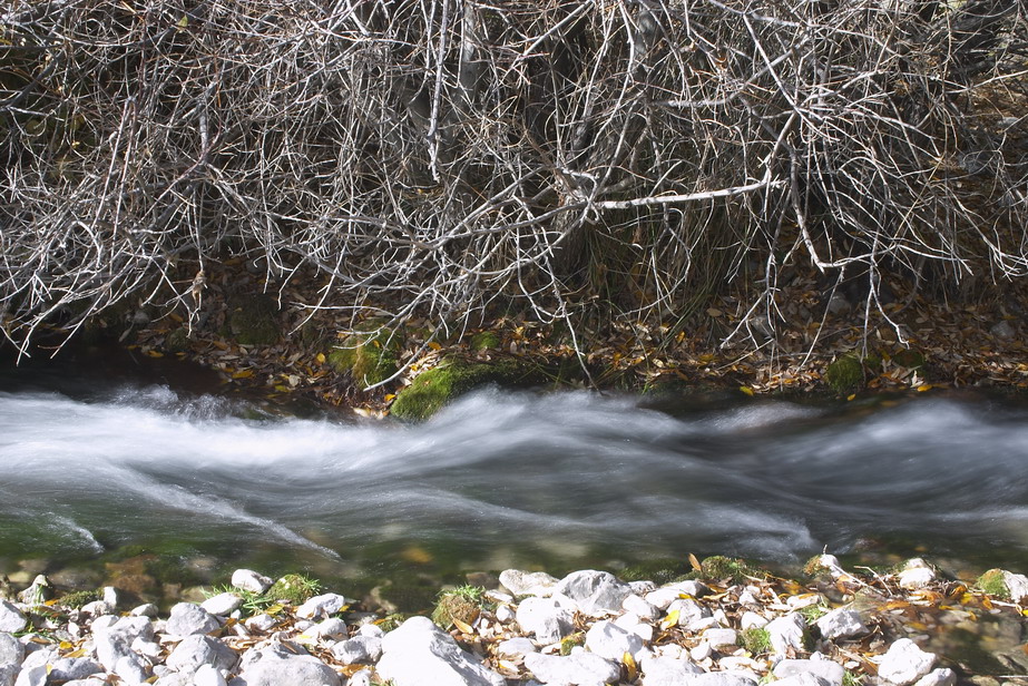 116_1623.jpg