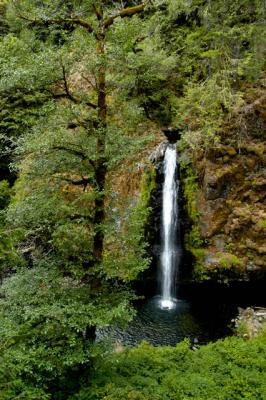 040821 Drift Creek Falls