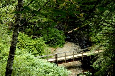 040821Foot Bridge