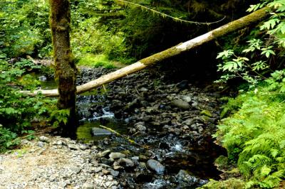 040821 Drift Creek