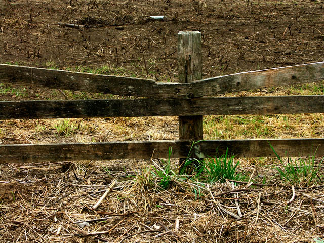 040818 Fence
