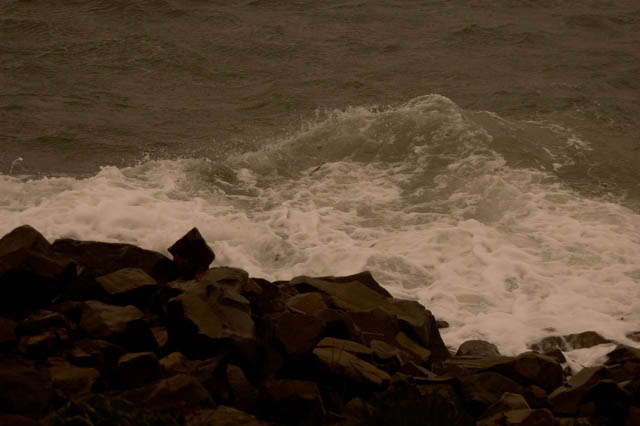 401010 Wild Surf