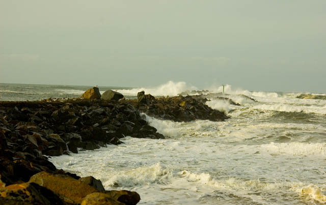 Surf Running High