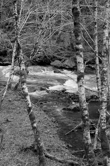Swift Water