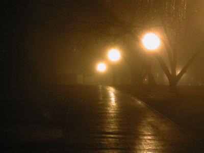 anotherfoggysidewalk.JPG