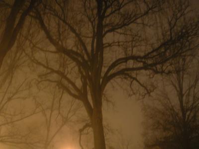 DSCN1919.JPG