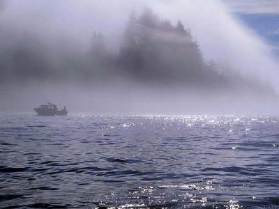 Coastal waters near Sooke