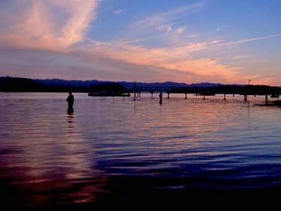 August 22, 1999 --- Sooke Basin Estuary, British Columbia