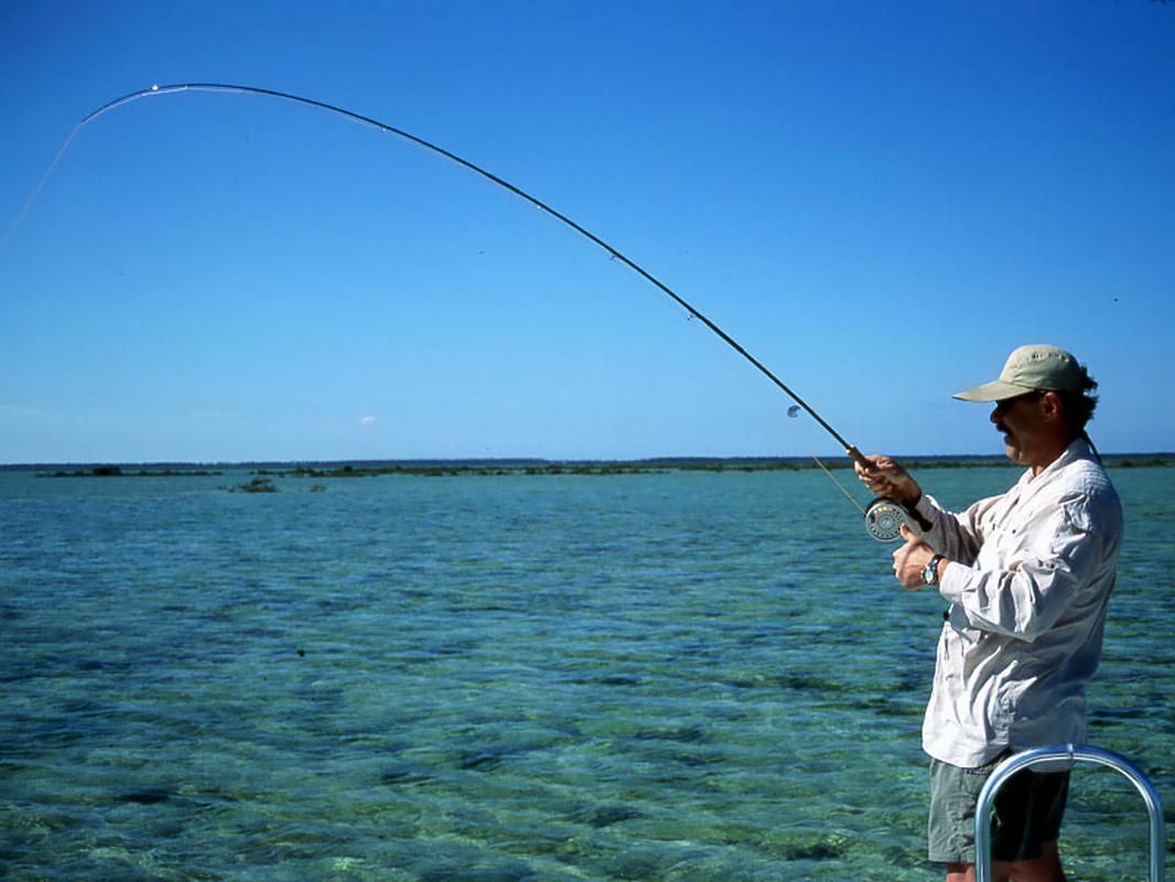 Fish On