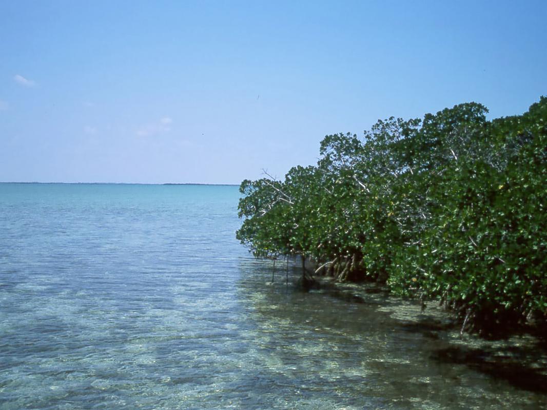Near West End