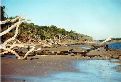 Coast Ga scenic