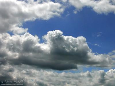 DSCN2331 b s.jpg