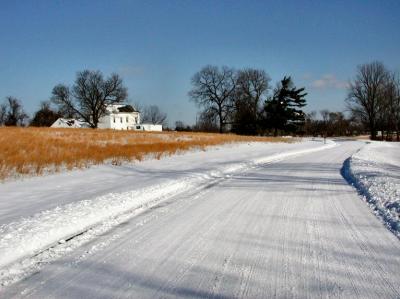 Landscpaes