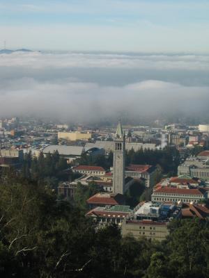 Berkeley campus and fog