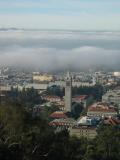 Berkeley campus and fog