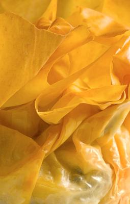 Crisp by Francesco Tonelli