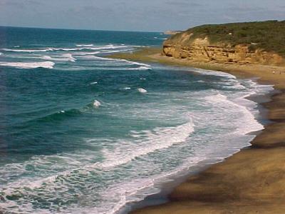 Along the great Ocean Rd.