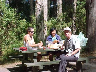 Picnic in the Otway ranges