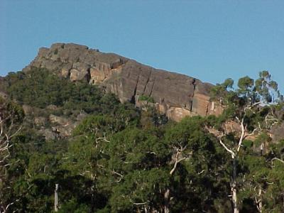 the Grampians Cockatoos
