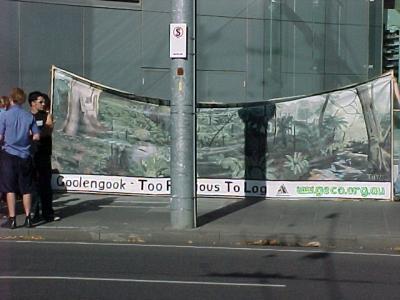 don t log the coolengook Forest!