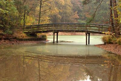 Pond with Bridge