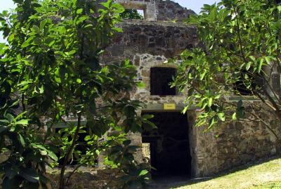 Mt. Washington Plantation Museum (15531)