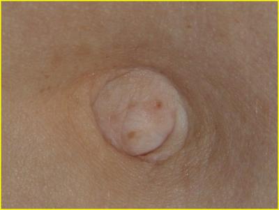 u8/lebororo/medium/32789844.pito.jpg