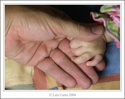 Hands