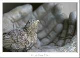 Piedra