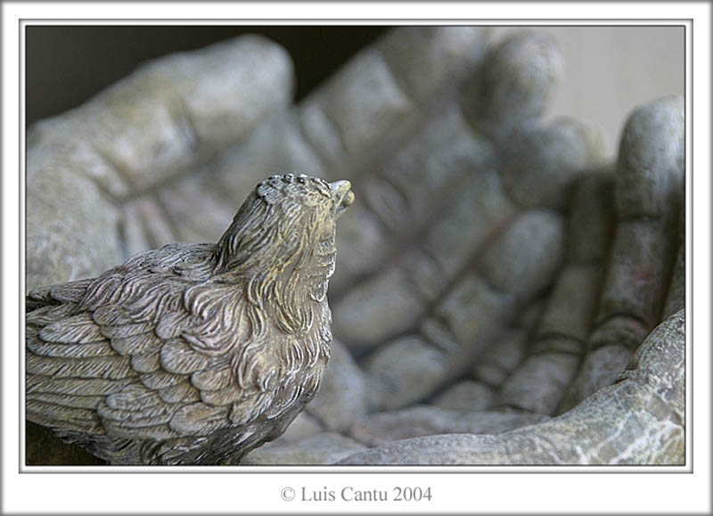 Piedra