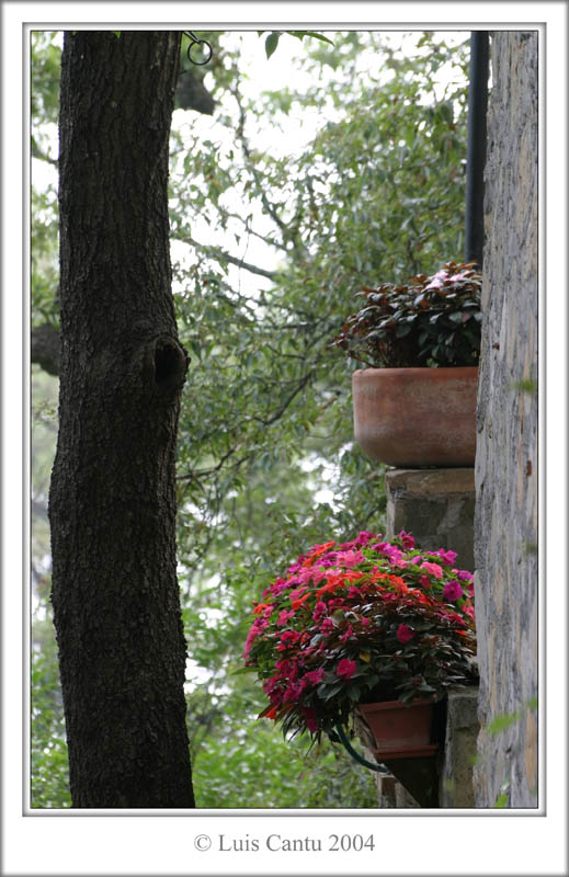 Vertical