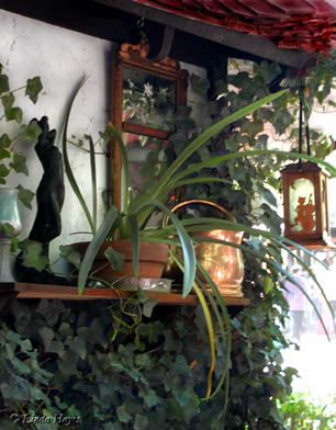 Renaissance Festival ivy shelf