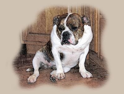 Spanky_1107.jpg