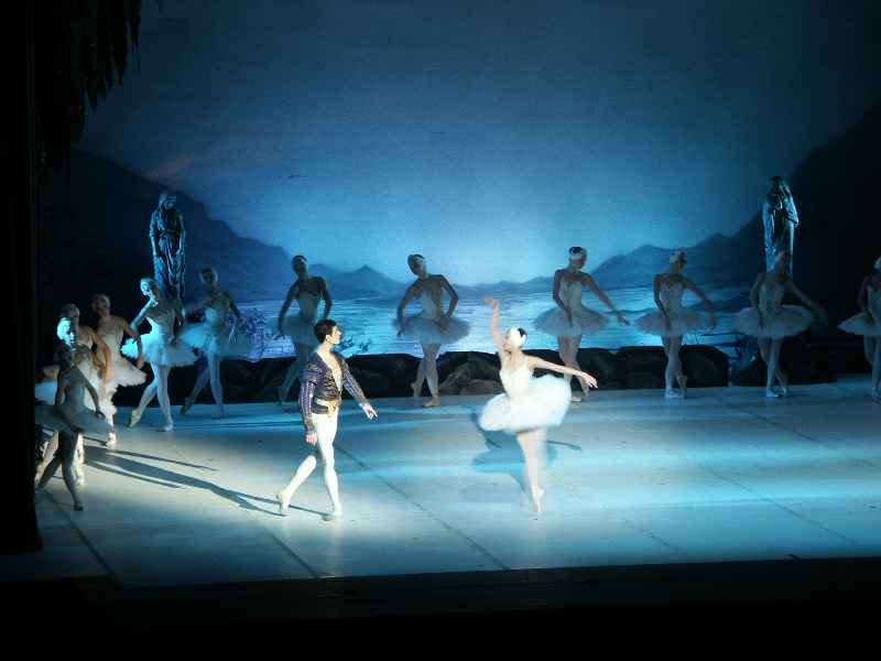 lake of swans