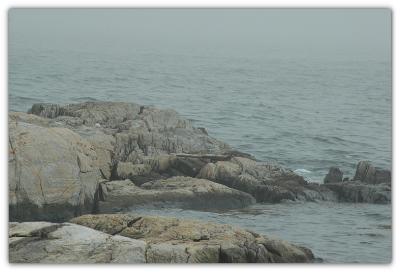 rocky shore of NH