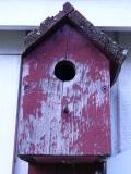 the birdhouse