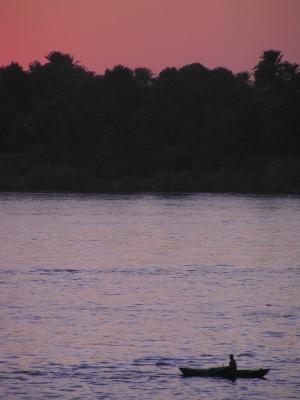 Rowing Home.jpg