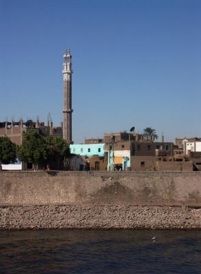 Along the Nile