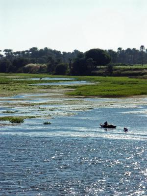 Collecting the natural products of the Nile