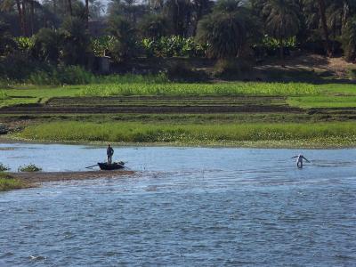 Working to survive on the Nile
