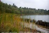 Turnhout (Belgium) - Natuurgebied 'De Melle'