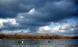 Turnhout (Belgium) - Natuurgebied 'De Melle'