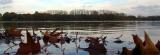 Turnhout (Belgium) - Natuurgebied 'De Melle'