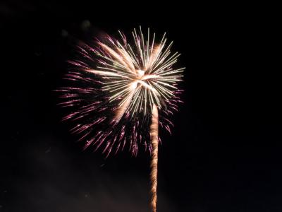 Fireworks 14