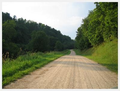 curling road.jpg