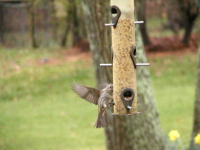 Landing with noise reduction and levels adjusted