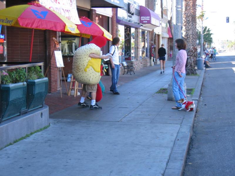 Dogs in dresses and life-sized hot dogs dont mix