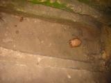 126-2620_IMG.JPG