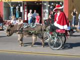 Miniature Horse Cavalcade